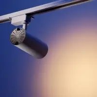 Трековый светильник Luazon lighting, TSL-013, 30 Вт, 2100 Лм, 2800K, белый, свечение тёплое белое