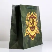 Пакет подарочный ламинированный, упаковка, &laquo;С 23 февраля&raquo;, L 28&times;38&times;9 см