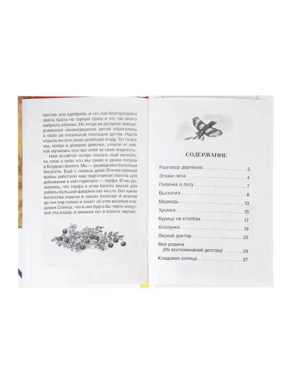 Книга детская для внеклассного чтения &laquo;Кладовая солнца&raquo;, Пришвин М.