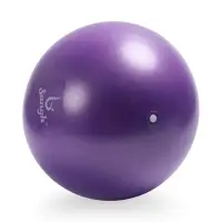 Мяч для йоги и пилатеса Sangh, d=25 см, 100 г, фиолетовый