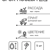Семена цветов Лобелия кустовая &laquo;Ривьера. Синие глаза&raquo;, мультидраже, 5 шт., однолетник, &laquo;Престиж семена&raquo;