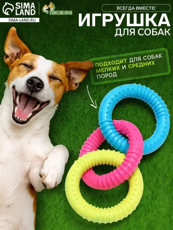 Жевательная игрушка дял собак &laquo;Всегда вместе!&raquo;, 3 кольца по 8 см, TPR, разноцветная