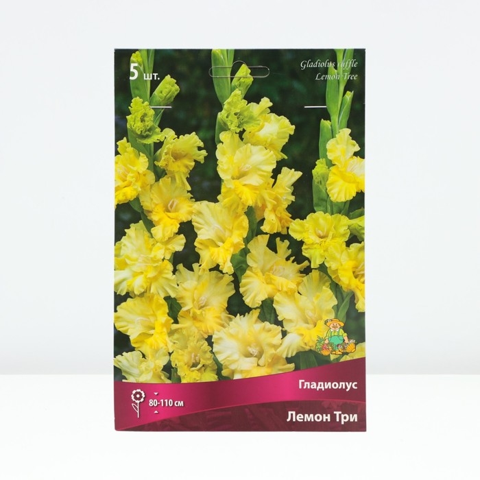 Гладиолус гофрированный «Лемон Три», луковица цветов в пакете с перфорацией, р-р 12/14, 5 шт.