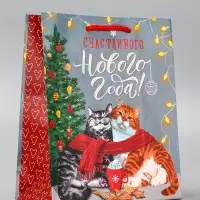 Пакет подарочный новогодний ламинированный, «Новогодние шары» , 18×10×22.3 см Пакет подарочный новогодний ламинированный, «Новогодние шары» , 18×10×22.3 см