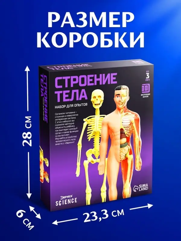 Набор для опытов &laquo;Строение тела&raquo;, анатомия человека