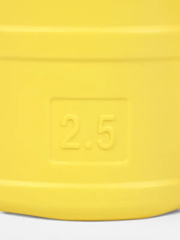 Лейка, 2.5 л, без рассеивателя, МИКС