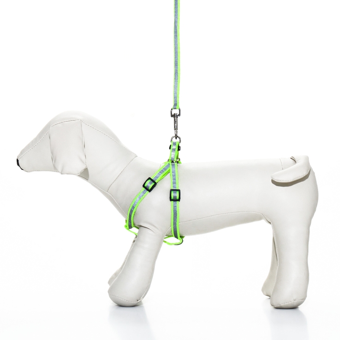 Комплект со светоотражающей лентой, ошейник 120 х 1 см, ОГ 26-40 см, зеленый Комплект со светоотражающей лентой, ошейник 120 х 1 см, ОГ 26-40 см, зеленый