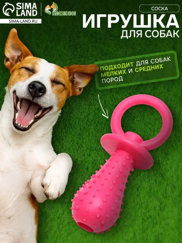 Жевательная игрушка для собак &laquo;Соска&raquo;, 10&times;3 см, TPR, розовая