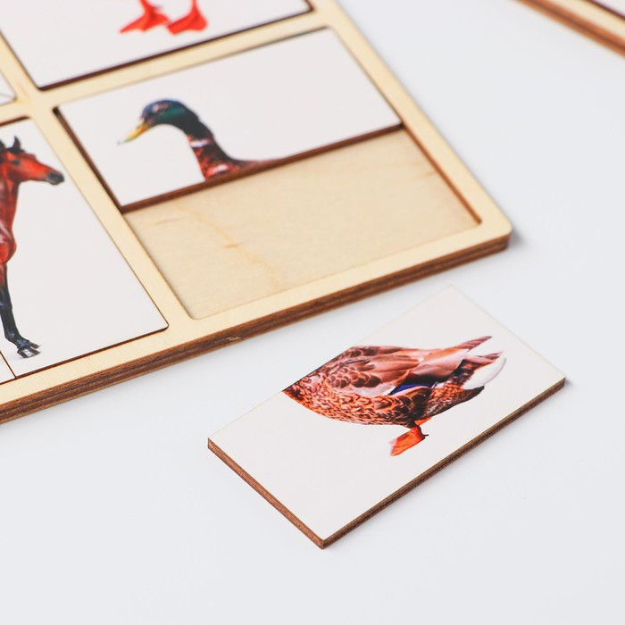 Картинки-половинки «Домашние животные» Картинки-половинки «Домашние животные»