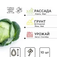 Семена Капуста белокочанная &laquo;Мегатон&raquo;, F1, 10 шт., &laquo;Уральский дачник&raquo;