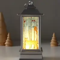 Фонарь светодиодный, декоративный, 1 LED, от батареек 3&times;AG13, свечение тёплое белое