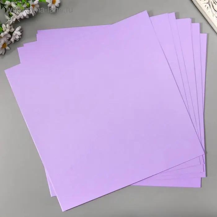 Бумага для скрапбукинга Mr.Painter Бумага для скрапбукинга Mr.Painter "Душистая сирень" 30,5х30,5 см 216гр/м2