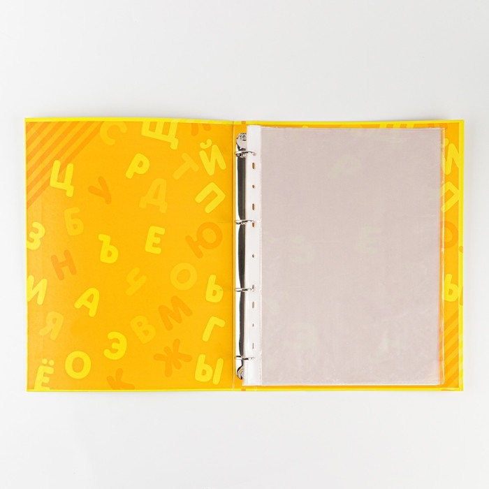 Папка школьная на кольцах «Портфолио дошкольника», 14 листов-разделителей, 24,5 х 32 см. Папка школьная на кольцах «Портфолио дошкольника», 14 листов-разделителей, 24,5 х 32 см.