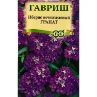 Семена цветов Иберис вечнозеленый &laquo;Гранат&raquo; 0.1 г