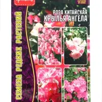Семена цветов Роза Angel Wings китайская 7шт.  АКЦИЯ !!!  12.28 г.