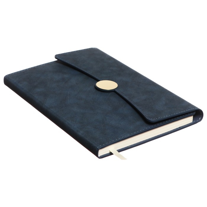 Органайзер на кольцах А6+, 80 листов, кожзам, c клапаном, линия, с ручкой, в подарочной коробке, синий Органайзер на кольцах А6+, 80 листов, кожзам, c клапаном, линия, с ручкой, в подарочной коробке, синий