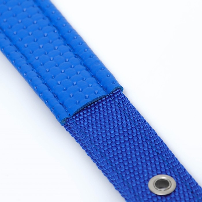 Ошейник Ошейник "Комфорт" комбинированный, 55 х 2,5 см, ОШ 40-50 см, синий