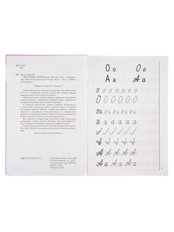 Рабочая тетрадь для детей 6-7 лет &laquo;Мои первые прописи&raquo;, Бортникова Е.