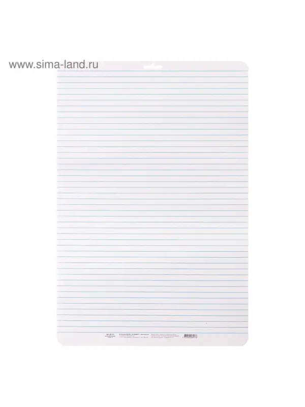 Доска маркерная A3 (49&times;33 см) Calligrata, двусторонняя: клетка/линейка, синяя