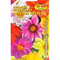 Семена цветов Георгина &laquo;Весёлые ребята&raquo; смесь, &laquo;АЭЛИТА экстра&raquo;, 0.2 г