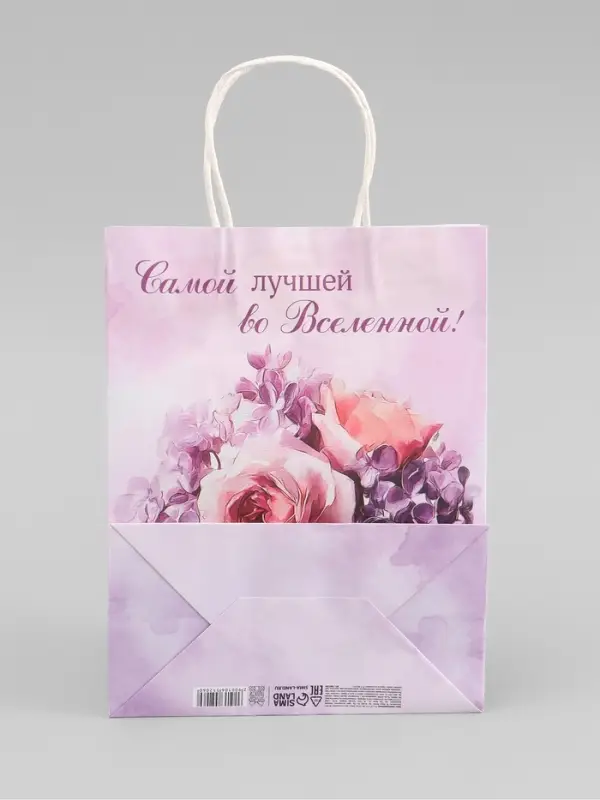 Пакет подарочный крафтовый &laquo;Лучшей во вселенной&raquo;, 25&times;22&times;11 см