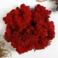 Мох стабилизированный &laquo;Красный&raquo; 45 г (&plusmn;5 г).