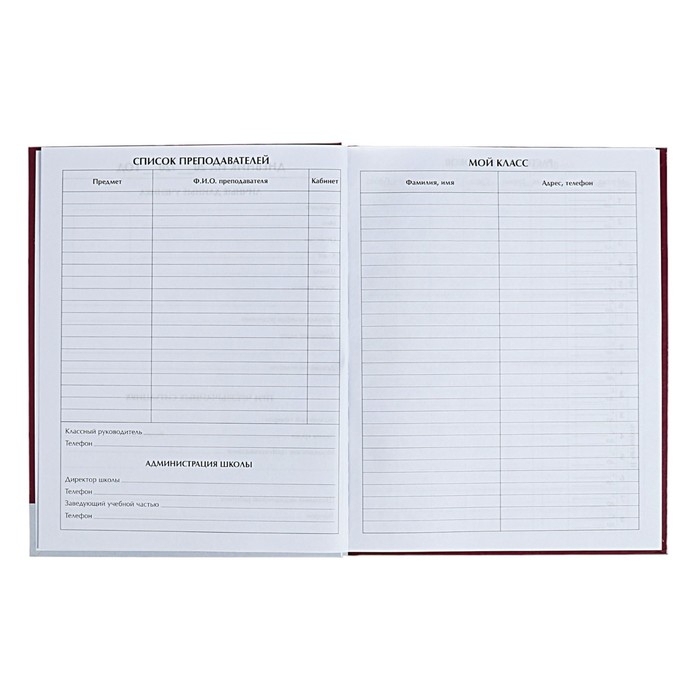 Дневник для 1-4 классов Дневник для 1-4 классов "Енотик", твёрдая обложка, глянцевая ламинация, 48 листов