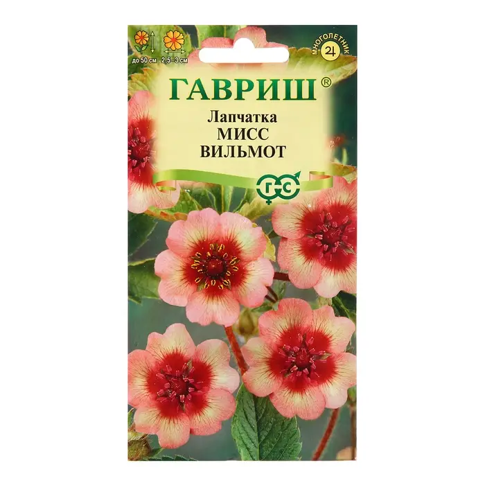 Семена Лапчатка "Мисс Вильмот", ц/п,  0,01 г