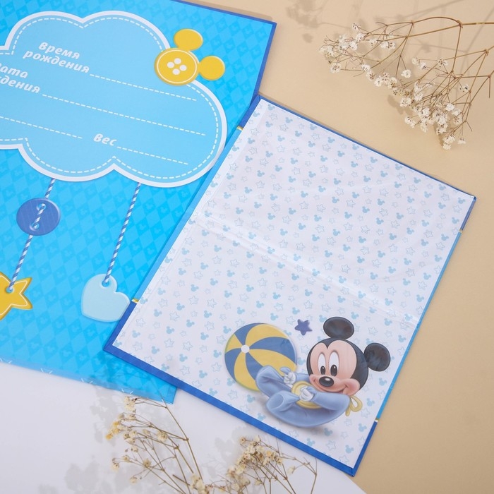 Обложка для документов набор Обложка для документов набор "Мои первые документы", Микки Маус, 21х30 см
