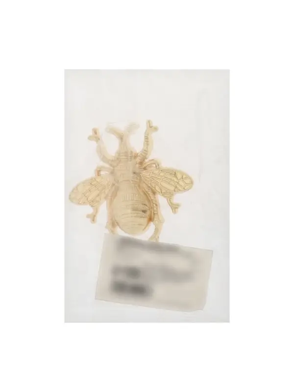 Ручка-кнопка CAPPIO PRO &laquo;Жук&raquo; 59&times;56 мм, цвет золото