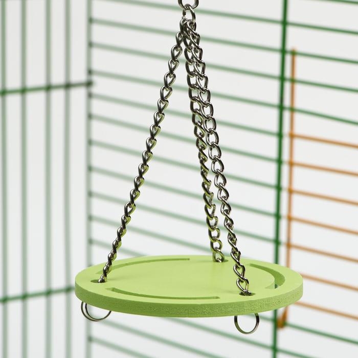 Качели для грызунов круглая на цепочках, 8,5 х 7 см, вспененный ПВХ, зелёные Качели для грызунов круглая на цепочках, 8,5 х 7 см, вспененный ПВХ, зелёные
