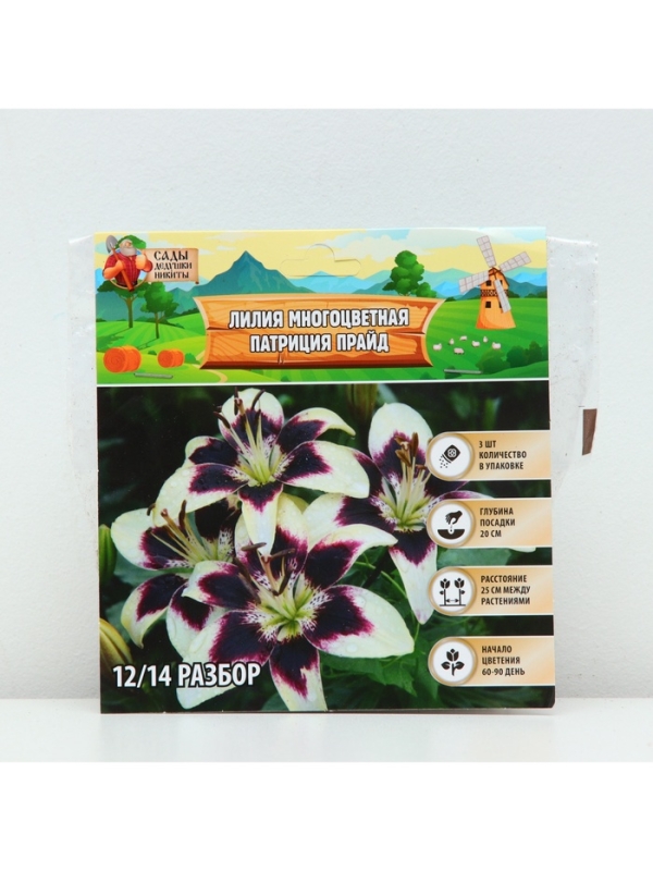 Лилия Многоцветная «Патриция Прайд», луковица в пакете с перфорацией, р-р 12/14, 3 шт. Лилия Многоцветная «Патриция Прайд», луковица в пакете с перфорацией, р-р 12/14, 3 шт.