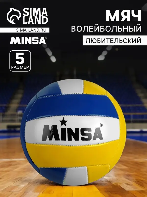 Волейбольный мяч MINSA, машинная сшивка, 18 панелей, р. 5, PVC