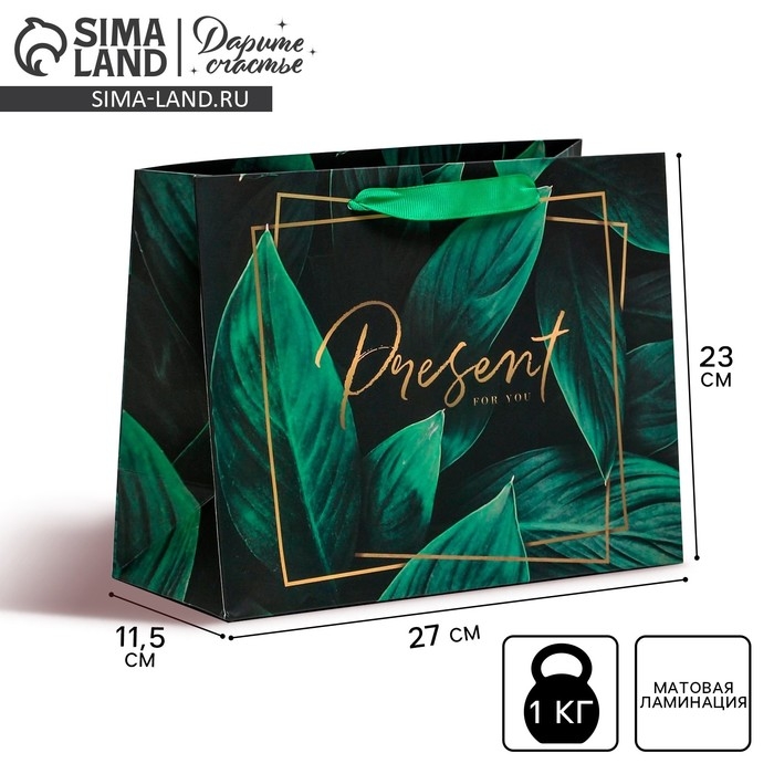 Пакет подарочный ламинированный горизонтальный, упаковка, &laquo;Present for you&raquo;, ML 27 х 23 х 11,5 см