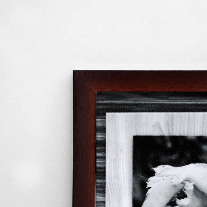 Картина  Картина "Фрукты-2" 42х107 см МИКС