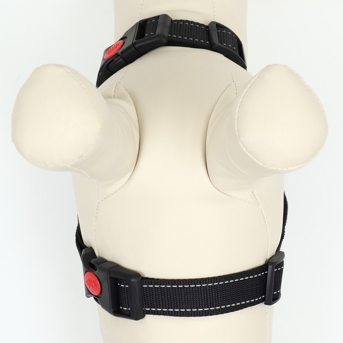 Шлейка К7 мягкая светоотражающая, размер XS, ОГ 34-44 см, вес 2,5-5 кг, хаки Шлейка К7 мягкая светоотражающая, размер XS, ОГ 34-44 см, вес 2,5-5 кг, хаки