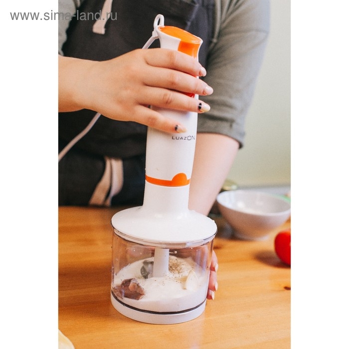 Блендер Luazon LBR-01, погружной, 500 Вт, 0.5/0.6 л, 2 скорости, оранжевый Блендер Luazon LBR-01, погружной, 500 Вт, 0.5/0.6 л, 2 скорости, оранжевый