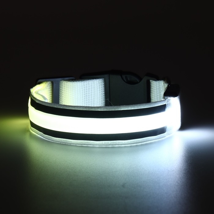 Ошейник с подсветкой Двойная полоса размер S, ОШ 35-43 х 2,5 см, 3 режима свечения белый Ошейник с подсветкой Двойная полоса размер S, ОШ 35-43 х 2,5 см, 3 режима свечения белый