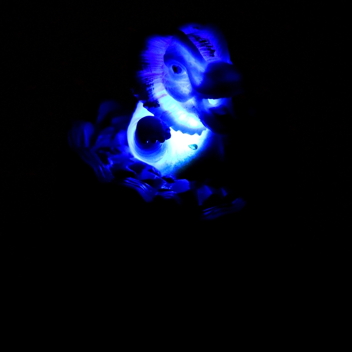 Мялка «Динозавры» световая, звуковая, виды МИКС Мялка «Динозавры» световая, звуковая, виды МИКС