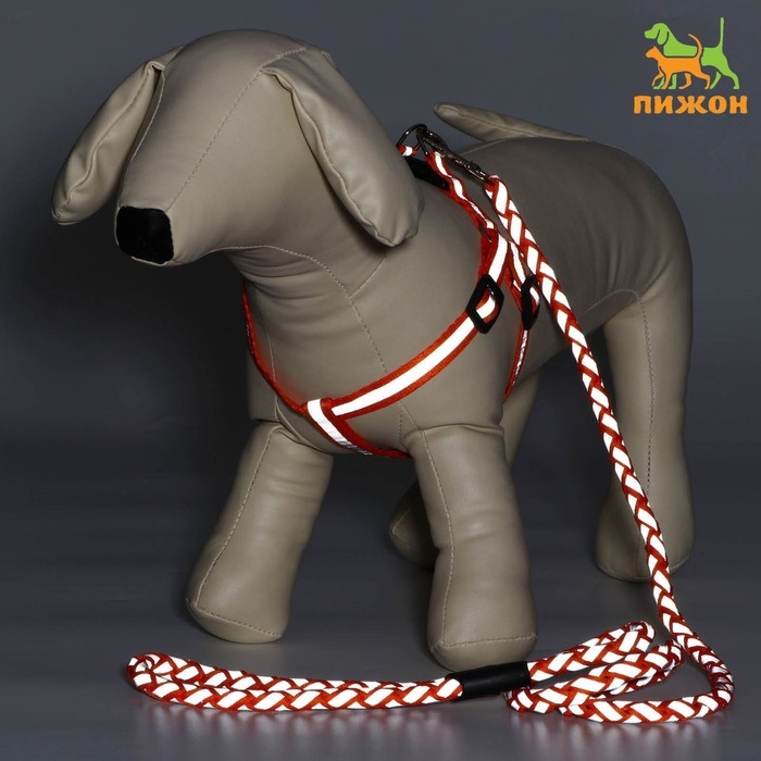 Комплект  Комплект "Плетенка", флуоресцентный, поводок 115 х 1 см, ОГ 32-48 х 1,5 см, оранжевый