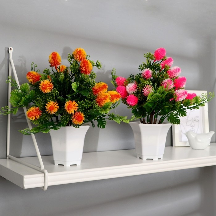 Бонсай в горшке Бонсай в горшке "Каллистефус галант" 21х23 см, микс