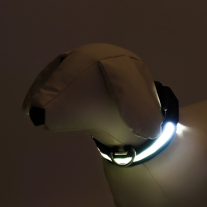 Ошейник с подсветкой размер S, ОШ 35-43 х 2,5 см, 3 режима свечения чёрный Ошейник с подсветкой размер S, ОШ 35-43 х 2,5 см, 3 режима свечения чёрный