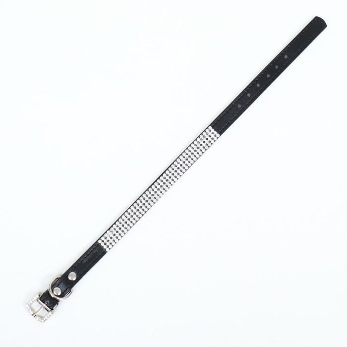 Ошейник со стразами в 4 ряда и стразы на пряжке, 38 х 1,5 см, ОШ 26-33, чёрный Ошейник со стразами в 4 ряда и стразы на пряжке, 38 х 1,5 см, ОШ 26-33, чёрный