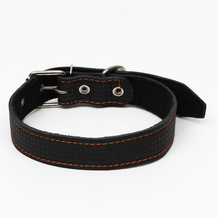 Ошейник кожаный с тиснением на синтепоне, 70,5 х 3.5 см, ОШ 45-60 см, чёрный Ошейник кожаный с тиснением на синтепоне, 70,5 х 3.5 см, ОШ 45-60 см, чёрный