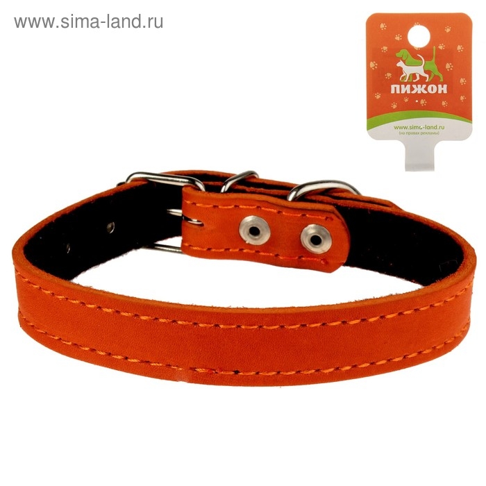 Ошейник кожаный на синтепоне, 45 х 2 см, ОШ 25-35 см, оранжевый Ошейник кожаный на синтепоне, 45 х 2 см, ОШ 25-35 см, оранжевый