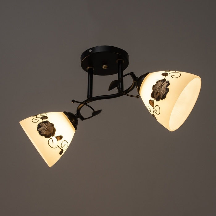 Люстра Люстра "Арья" 2хЕ27 40Вт черный 47х26 см