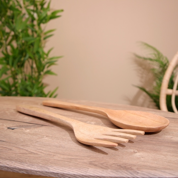 Вилка-ложка  сувенирная 50 см Вилка-ложка  сувенирная 50 см