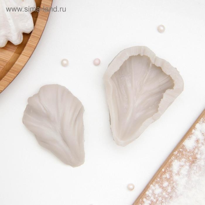 Молд «Листопад», силикон, 7,2×5,4 см, цвет МИКС Молд «Листопад», силикон, 7,2×5,4 см, цвет МИКС