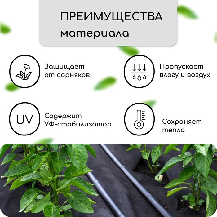 Материал мульчирующий, с перфорацией, 5 × 0,8 м, плотность 80 г/м², спанбонд с УФ-стабилизатором, чёрный, Greengo, Эконом 30% Материал мульчирующий, с перфорацией, 5 × 0,8 м, плотность 80 г/м², спанбонд с УФ-стабилизатором, чёрный, Greengo, Эконом 30%