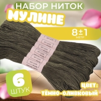 Набор ниток мулине №645, 8 ± 1 м, 6 шт, цвет тёмно-оливковый